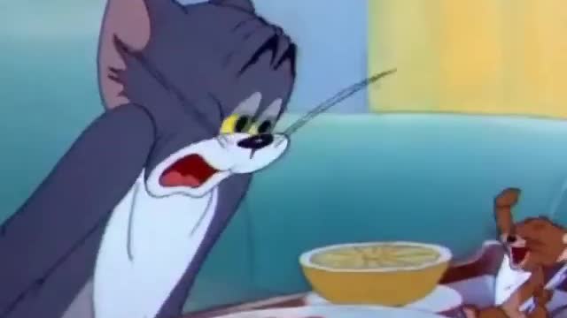 Tom and Jerry funny video