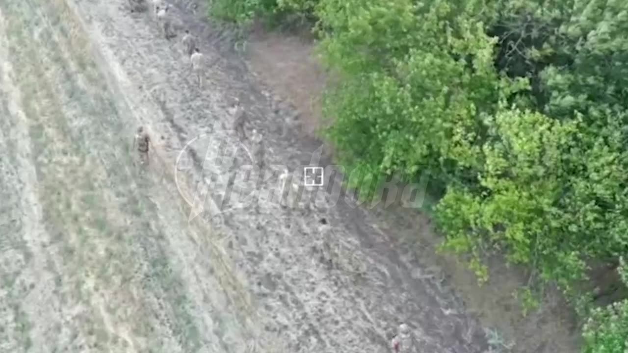 Footage of the capture of an entire squad of Ukrainian Armed Forces soldiers