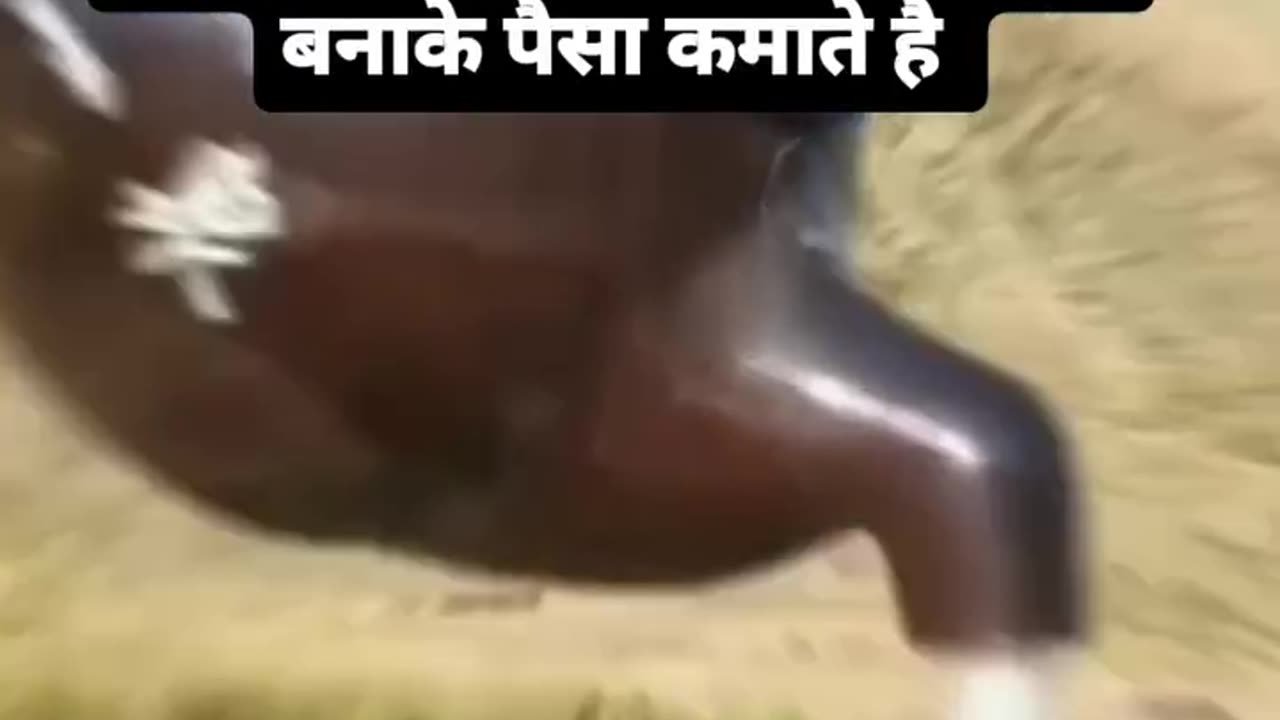 देखिए चाइना वाले कैसे बेवकूफ बनाके पैसा कमाते है 😯😮