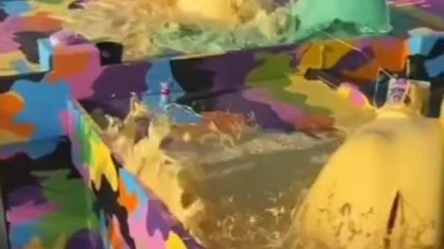 colorful foam