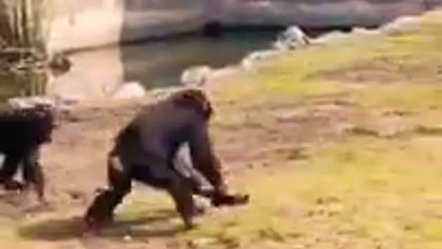 Super Funny 😀😀😀😀😀😁 Videos