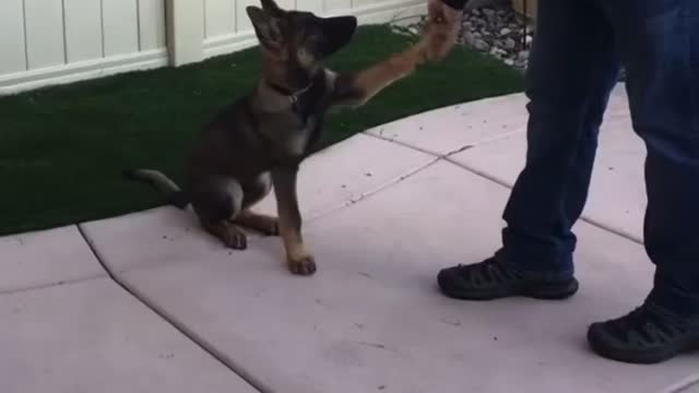 “Gimme 5!”