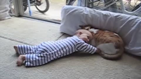 Funny Cat And Baby Playing Together 2021