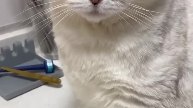 Tears in Eyes