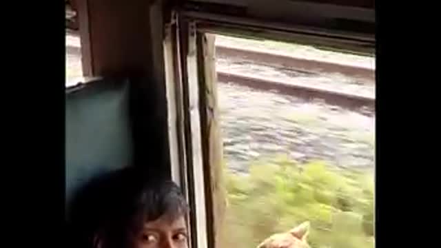 Love Cat/Humanity/touroutsit
