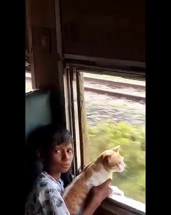 Love Cat/Humanity/touroutsit