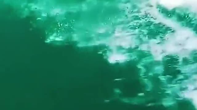 Surf in the green ocean