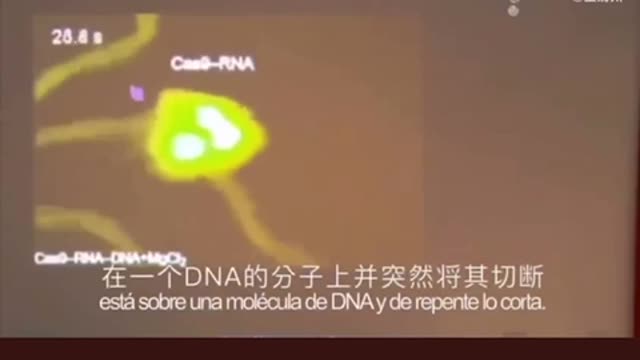 DNA being cut by spike protein from mRNA vaccine viewed under electron microscope Japan