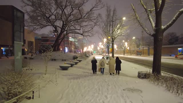 Beautiful street in snowy night.#2