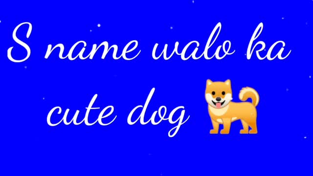 Alphabet name walo ka cute Dog 🐶🐕🐩🐕‍🦺 S name walo ka Dog | P name walo ka cute Dog.