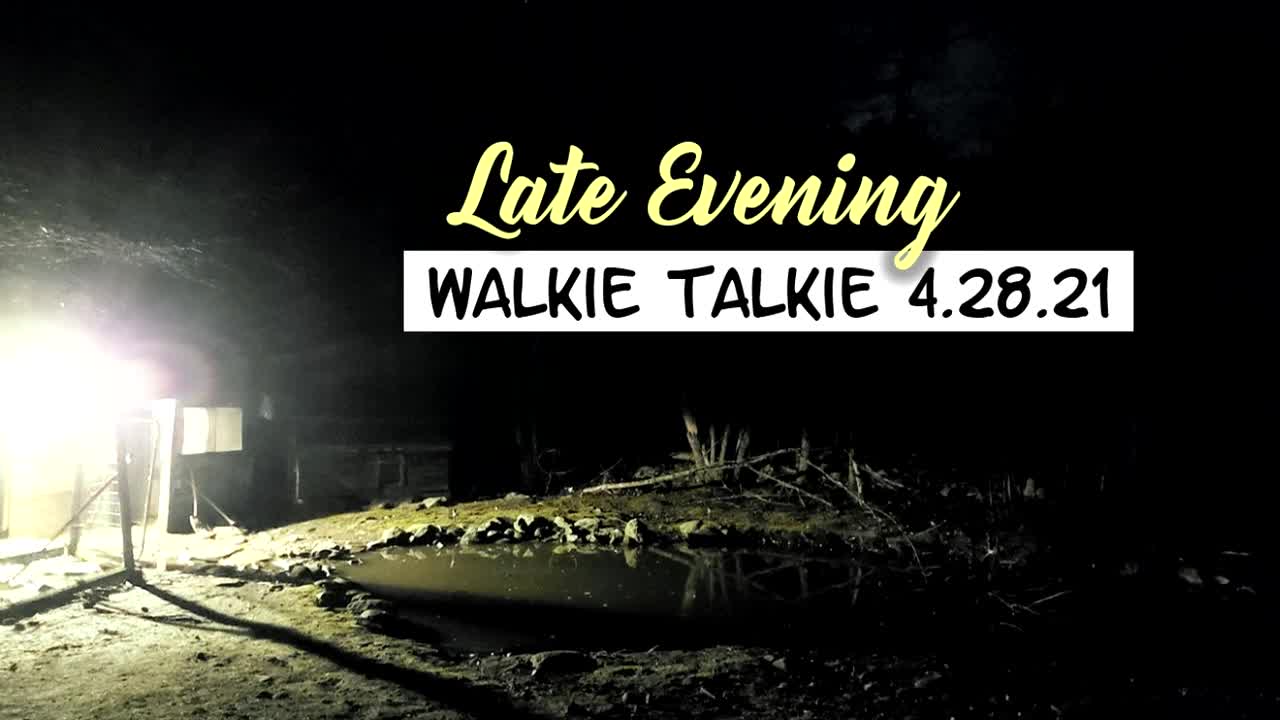 Late Night - Walkie Talkie 4.28.2021