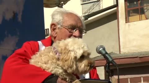 Bolivian priest blesses beloved pups