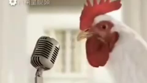 23 second funny video