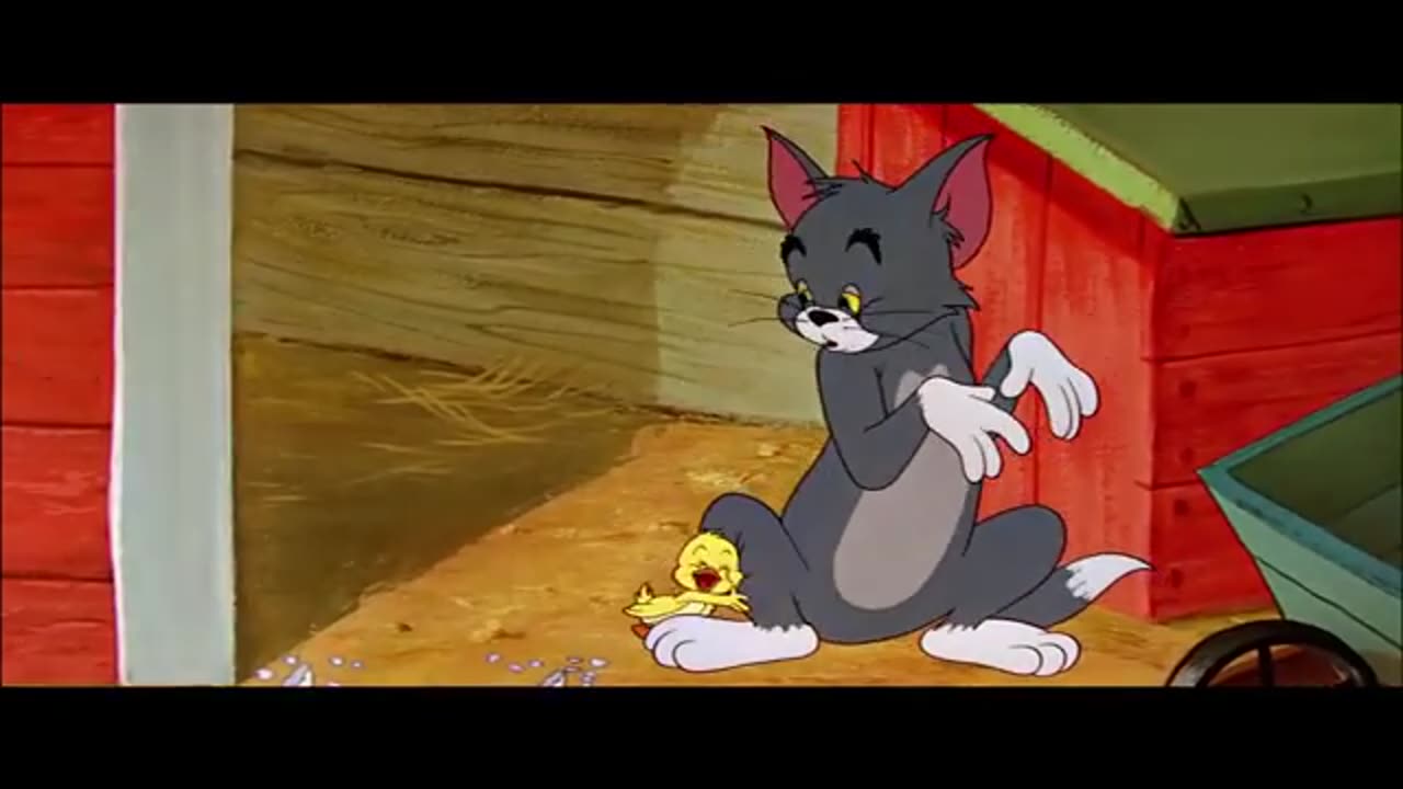 Tom & jerry funny moments