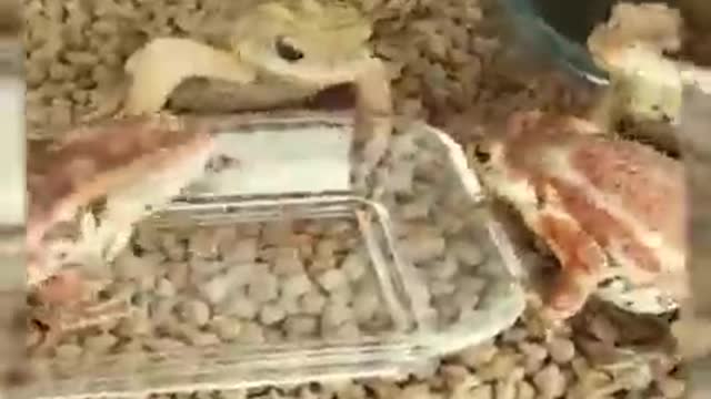 The funniest and funniest videos. Hard not to laugh.