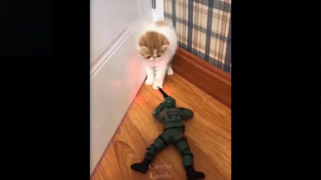 The Cat Was Able To Get Away From The Soldier (Laugh Together)