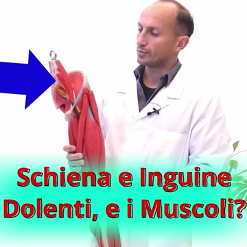 Dolore a Inguine e Schiena, e se Fosse a Causa di Strappi Muscolari o Contratture?