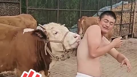 You must watch this very funny video till the end