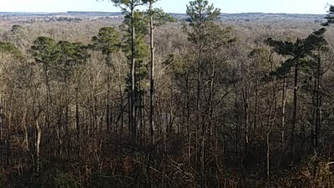 Neches Bluff Overlook