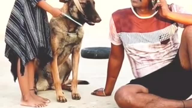 Funny 🤣Dog Videos 2022 time to LAUGH with Dog's life 🐕🐶