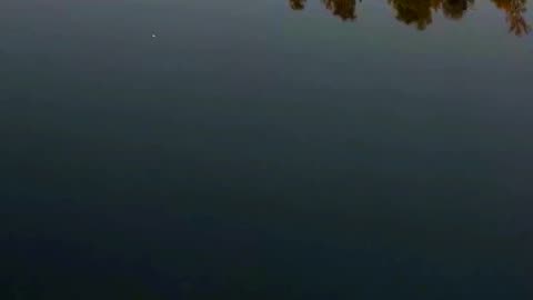 Relaxing Nature and relaxing Music || Nature Discovery........#nature #relax #relaxing #shortvideo