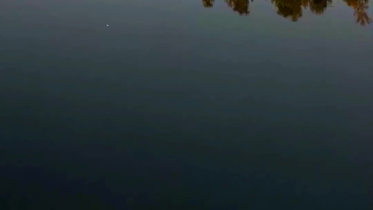 Relaxing Nature and relaxing Music || Nature Discovery........#nature #relax #relaxing #shortvideo