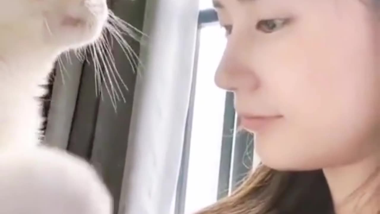 Loving Cat with a Pretty Girl