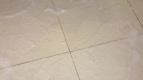 Floor cleaning