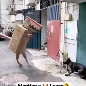 Mention a 🐶Doggg🐕 Lover😍😍 || Best Funny Videos Ever 🔥🔥🔥😍😍
