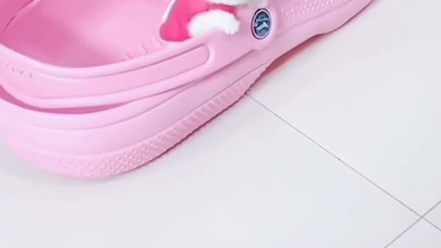 Sa nouvelle maison 👟🐶 Suivez les animaux compagnies les plus mignons