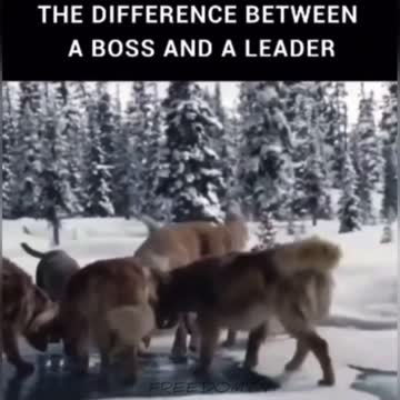 PatriQts lead the way