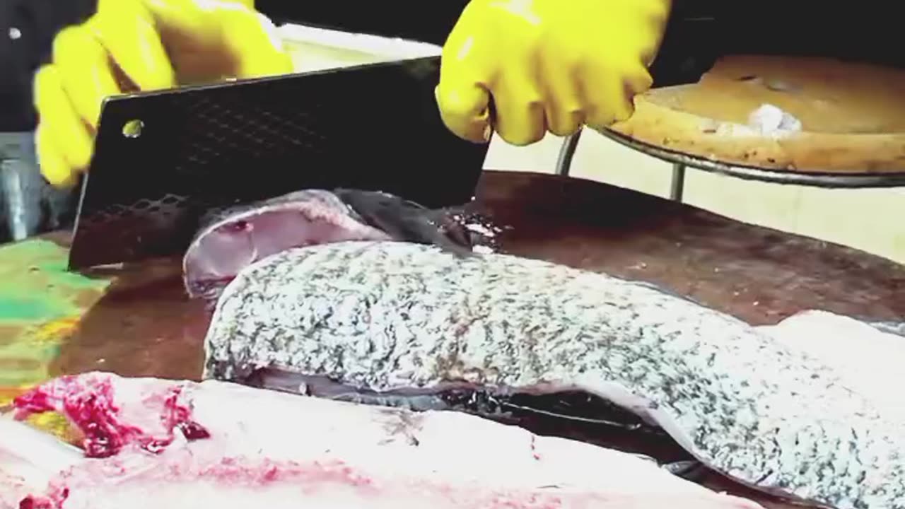 fish cuting fish cutting board live fish cutting big fish cutting salmon fish cutting