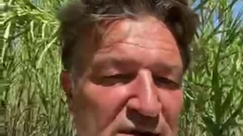 Crypto la spéculation des pauvres ! – La Minute de Ricardo