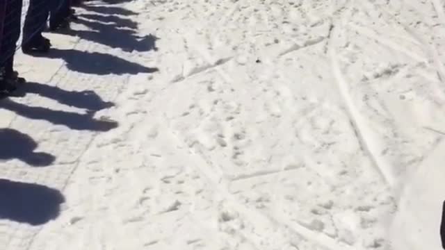 Guy skis down snow hill to try to skim over water but instantly falls forward into water