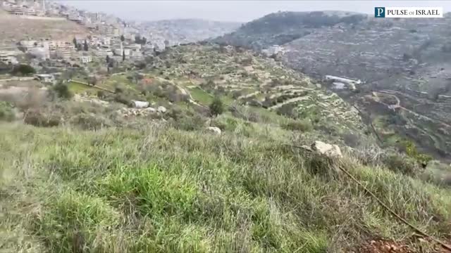 This is What Saving Jewish Land in the Judean Hills from Arab Takeover Looks Like