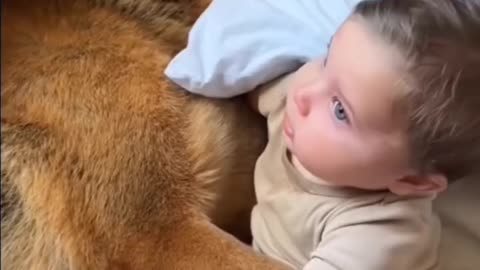Baby with dog