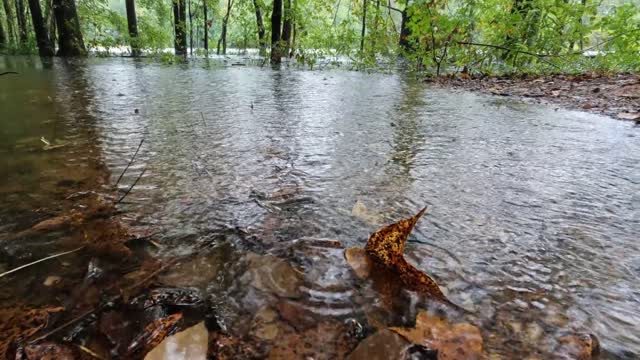 Amazing Nature rain relaxing video