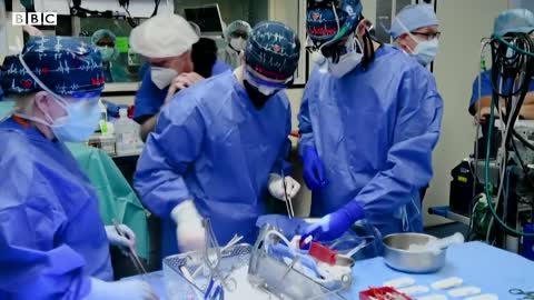 Man gets pig heart in world-first transplant - BBC News