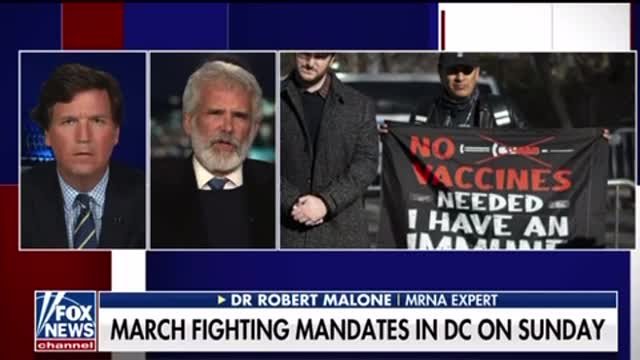Dr Robert Malone: there’s gonna have to be a reckoning