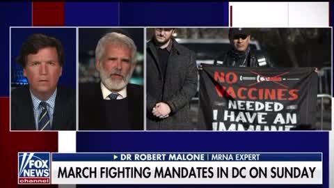 Dr Robert Malone: there’s gonna have to be a reckoning