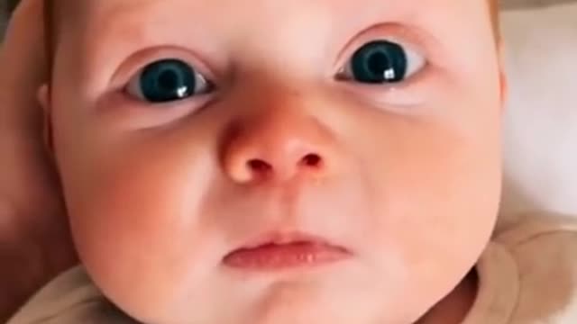 Cute chubby baby - Funny video (3)