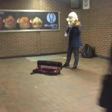 Big white dog lion head costume violin subway