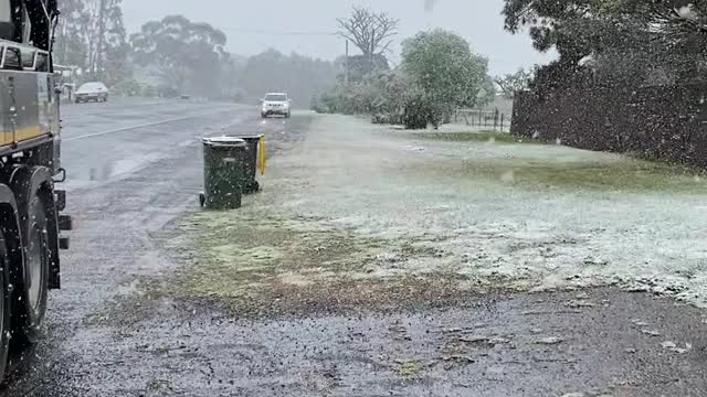 Spring Cold Snap Leaves Surprise Layer of Snow