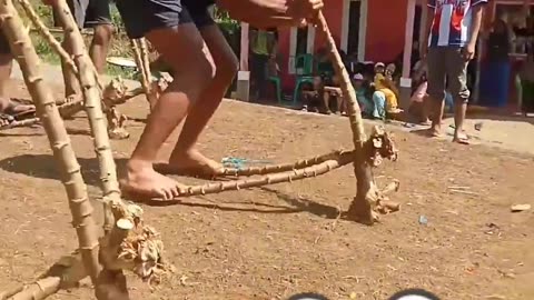 Race using cassava stems