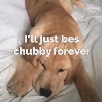 Too many options in restaurant menu