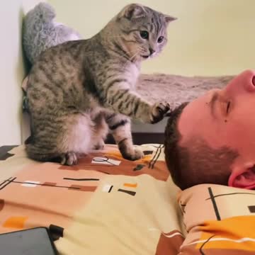 funny|prank|jokes|funny jokes|dad jokes|funny memes|funny video|fun|laughing|funny animal|knock