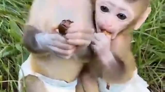 Top videos