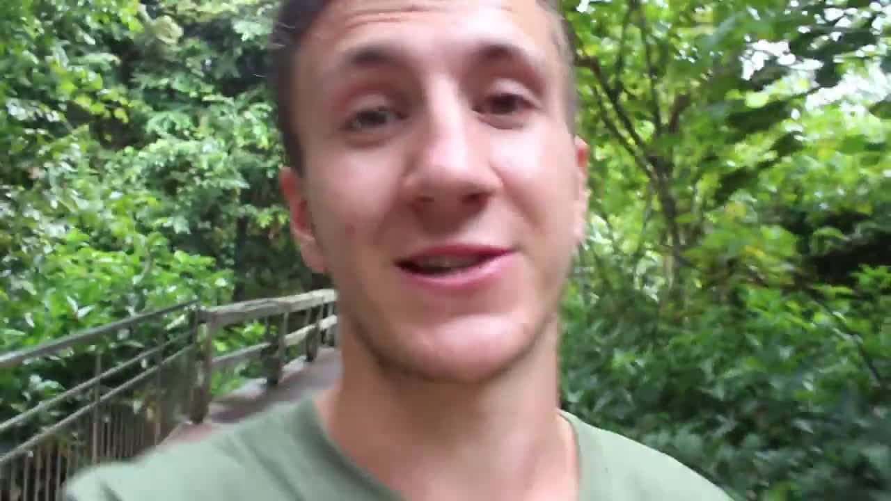 Working with Orangutans in Borneo - A Day In The Life