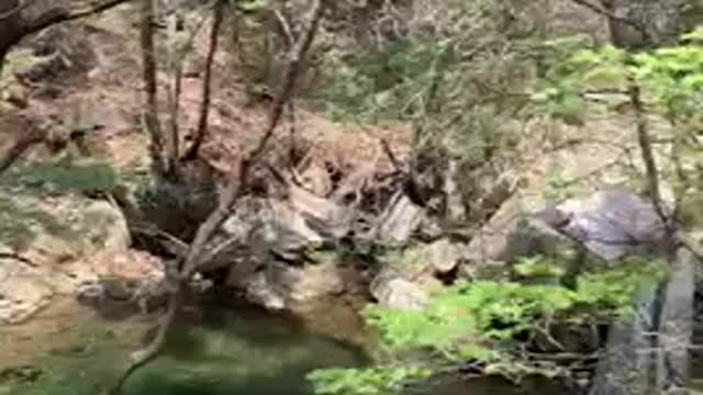 The sound of the water in the valley. (korea)