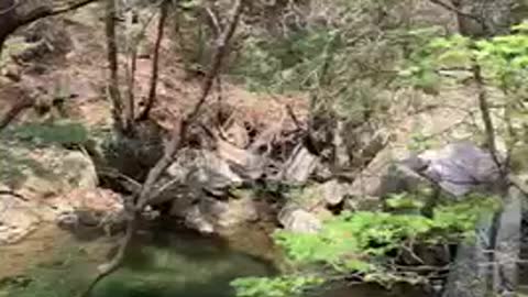 The sound of the water in the valley. (korea)